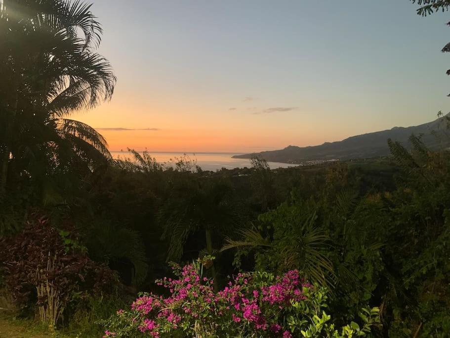 Bungalow Avec Vue Dans Lieu Calme ลาการ์เบต์ ภายนอก รูปภาพ