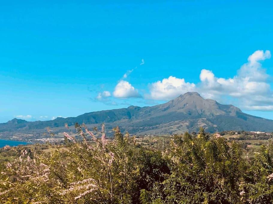 Bungalow Avec Vue Dans Lieu Calme ลาการ์เบต์ ภายนอก รูปภาพ