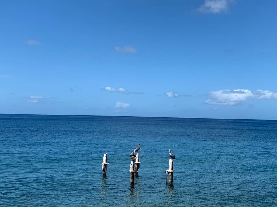 Bungalow Avec Vue Dans Lieu Calme ลาการ์เบต์ ภายนอก รูปภาพ
